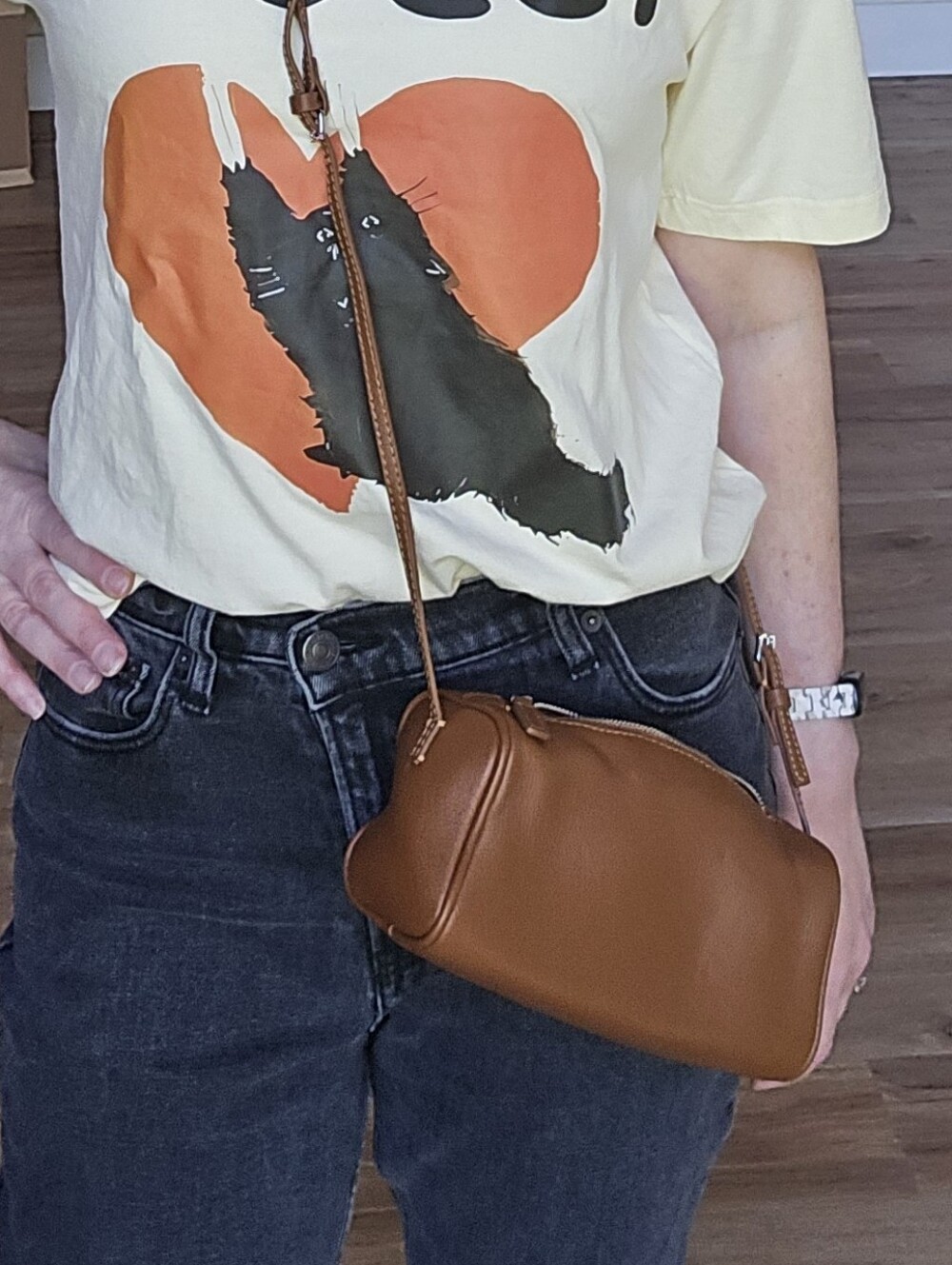 *Flawed* The Row Brown Mini Leather Shoulder Bag